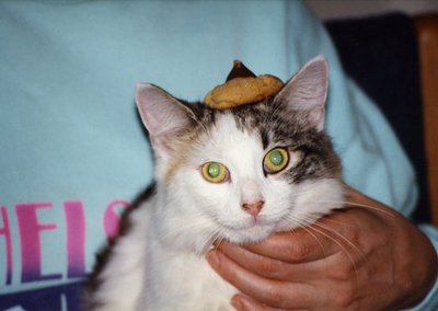 Princess with Cookie