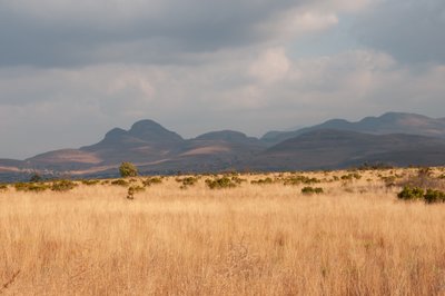 20090808090426 - Grassy Range at Blyde River Canyon in Mpumalango, ZA