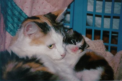 Princess And Xandria