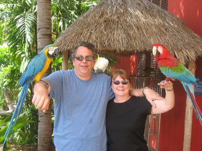 Kathy And Shane Stupid Bird Tricks